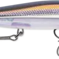 Bold Shad