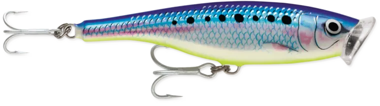 Rapala Skitter Pop Saltwater
