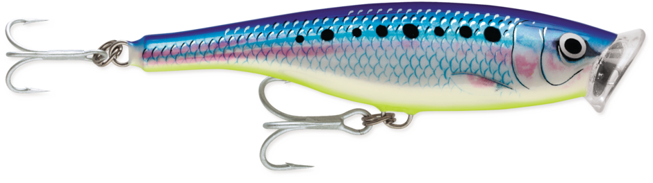 Rapala Skitter Pop Saltwater