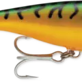 Green Mackerel