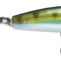 Yellow Perch