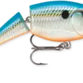 Blue Shad