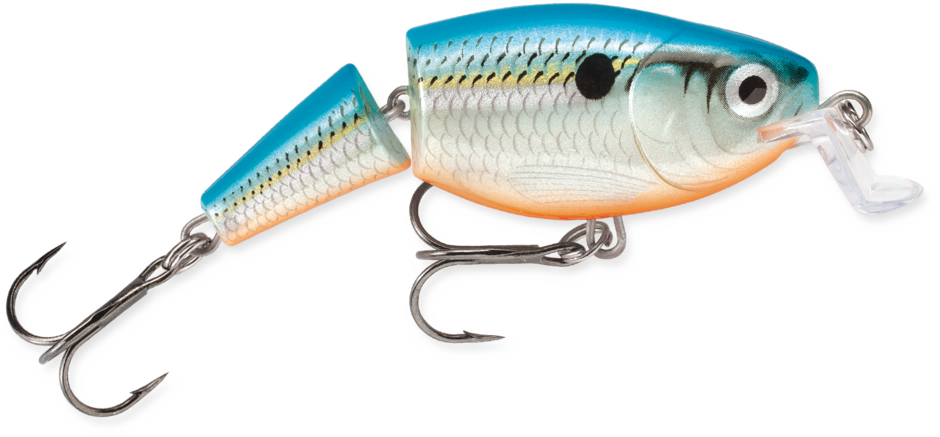 Rapala Jointed Shallow Shad Rap