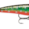 Brook Trout
