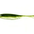 Alburno Shad