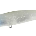 Freezing Firefly Squid