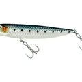 Sardine