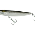 Tarpon