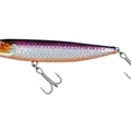 Purple Orange Belly