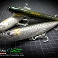 Tarpon 1