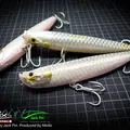 Tarpon 3