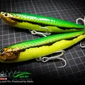 Tarpon 5