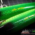 Tarpon 6