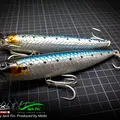 Tarpon 7