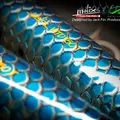 Tarpon 8
