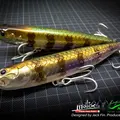 Tarpon 11