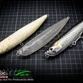 Tarpon 13