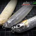 Tarpon 14