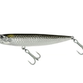 Tarpon