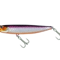 Purple Orange Belly
