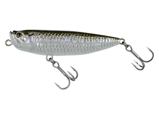 Molix WTD 65T Rattlin’