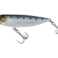 Sardine