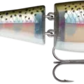 Rainbow Trout
