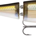 Smelt