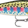 Rainbow Trout