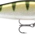 Yellow Perch