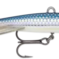 Baby Aspius