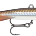 Smelt On The Beach