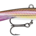 Live Smelt