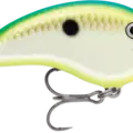 Citrus Shad