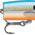 Blue Shad