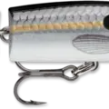 Silver Shad