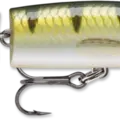 Yellow Perch