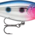 Chrome Blue Hot Tail