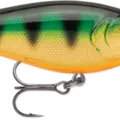 Perch