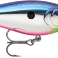 Sick Shad