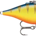 Glow Hot Perch