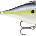 Helsinki Shad