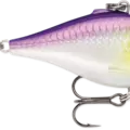 Purpledescent