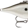Pearl Grey Shiner