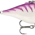 Purple Tiger UV