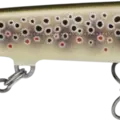 Gilded Brown Trout