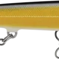 Gilded Gold Shad