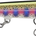 Gilded Rainbow Trout