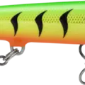 Gilded Firetiger