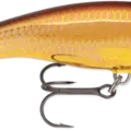 Golden Alburnus
